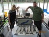 (06/18/2018) - Nice Striped Bass